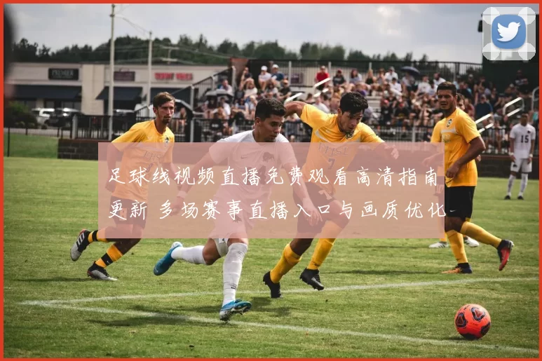 足球线视频直播免费观看高清指南更新 多场赛事直播入口与画质优化同步上线