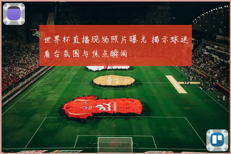 世界杯直播现场照片曝光 揭示球迷看台氛围与焦点瞬间
